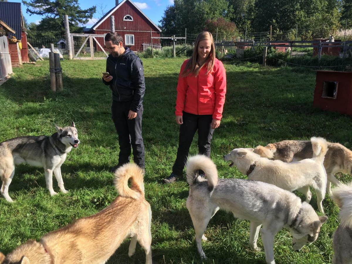 Cabin On Husky Farm Stromsund Luaran gambar